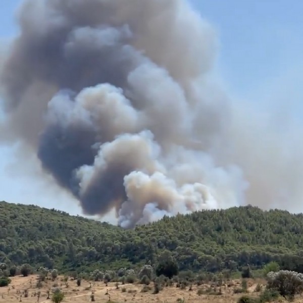 Bodrum’da Yangın Nerede Çıktı? Bodrum Yangını Nerede? Bodrum’daki Yangından Görüntüler Bodrum Yangınında Can Kaybı Var mı
